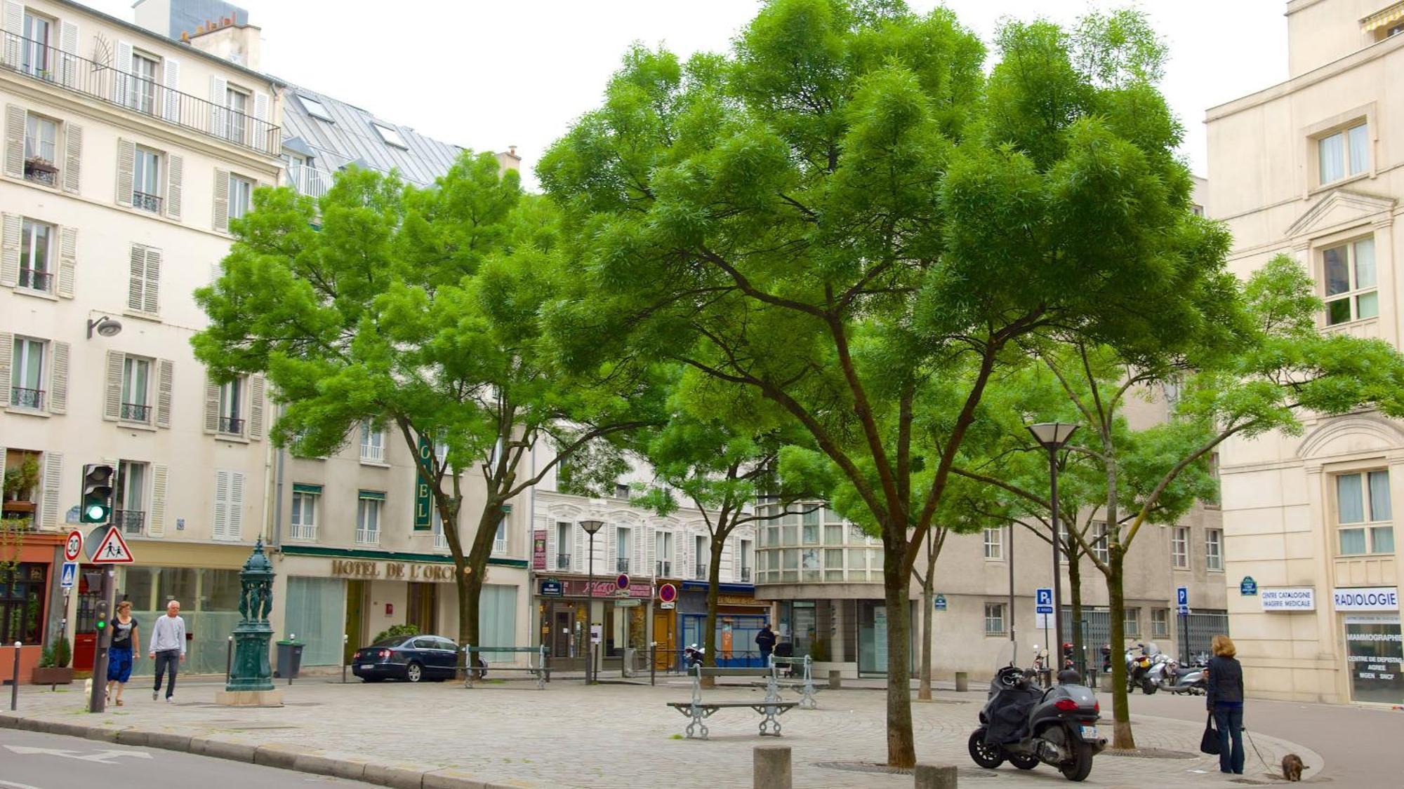 شقة Cosy Hideaway Near Montparnasse باريس المظهر الخارجي الصورة